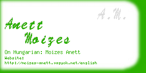 anett moizes business card